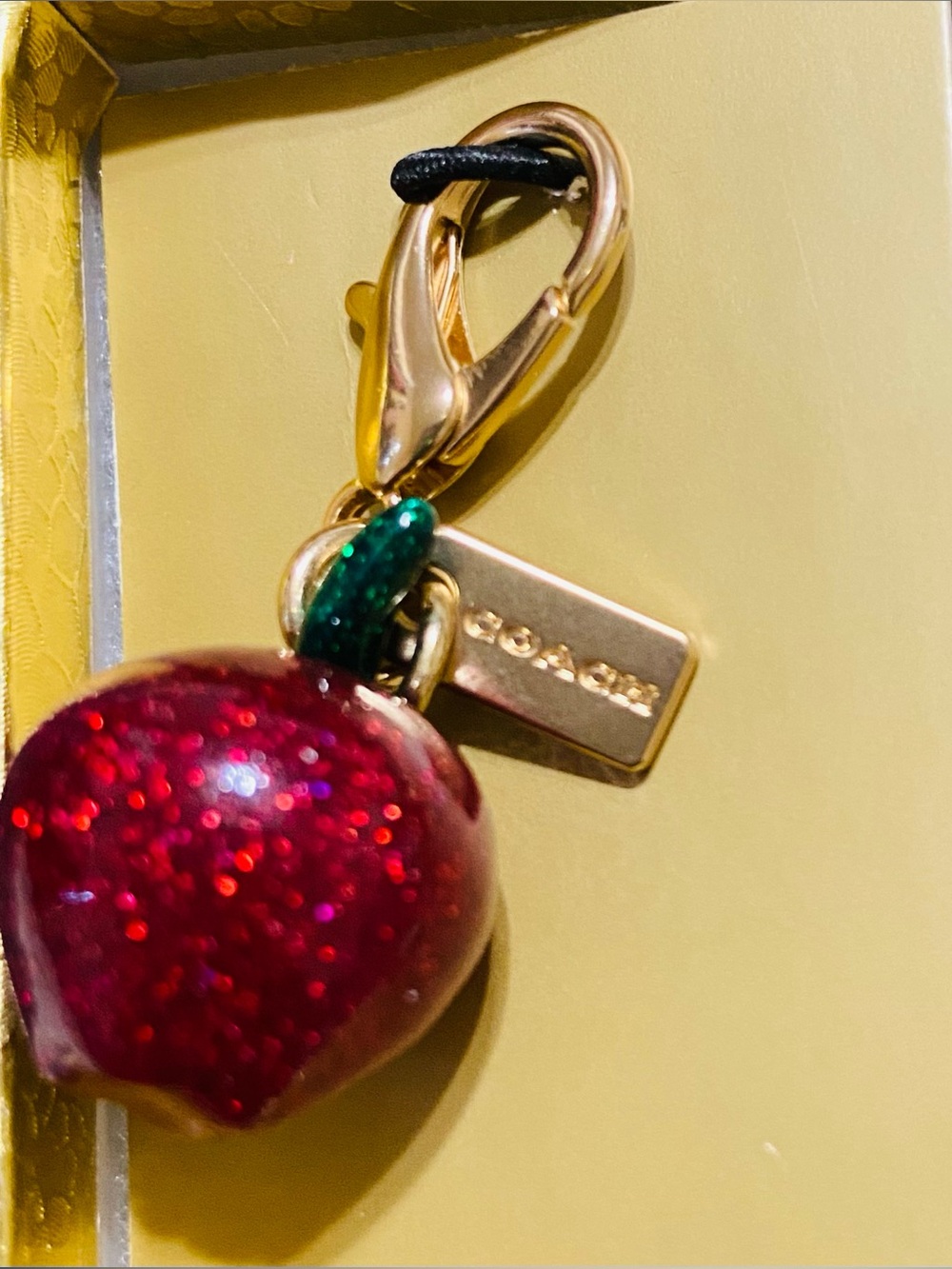 Coach Apple Bag Charm